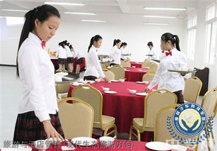 榆林旅游、酒店與職業教育深度解析 從能源化工到旅游管理，再到電商咨詢